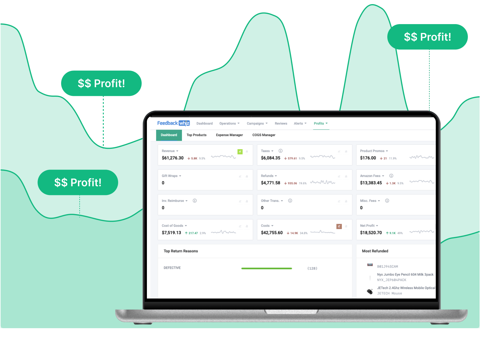 FeedbackWhiz Profits data insights dashboard