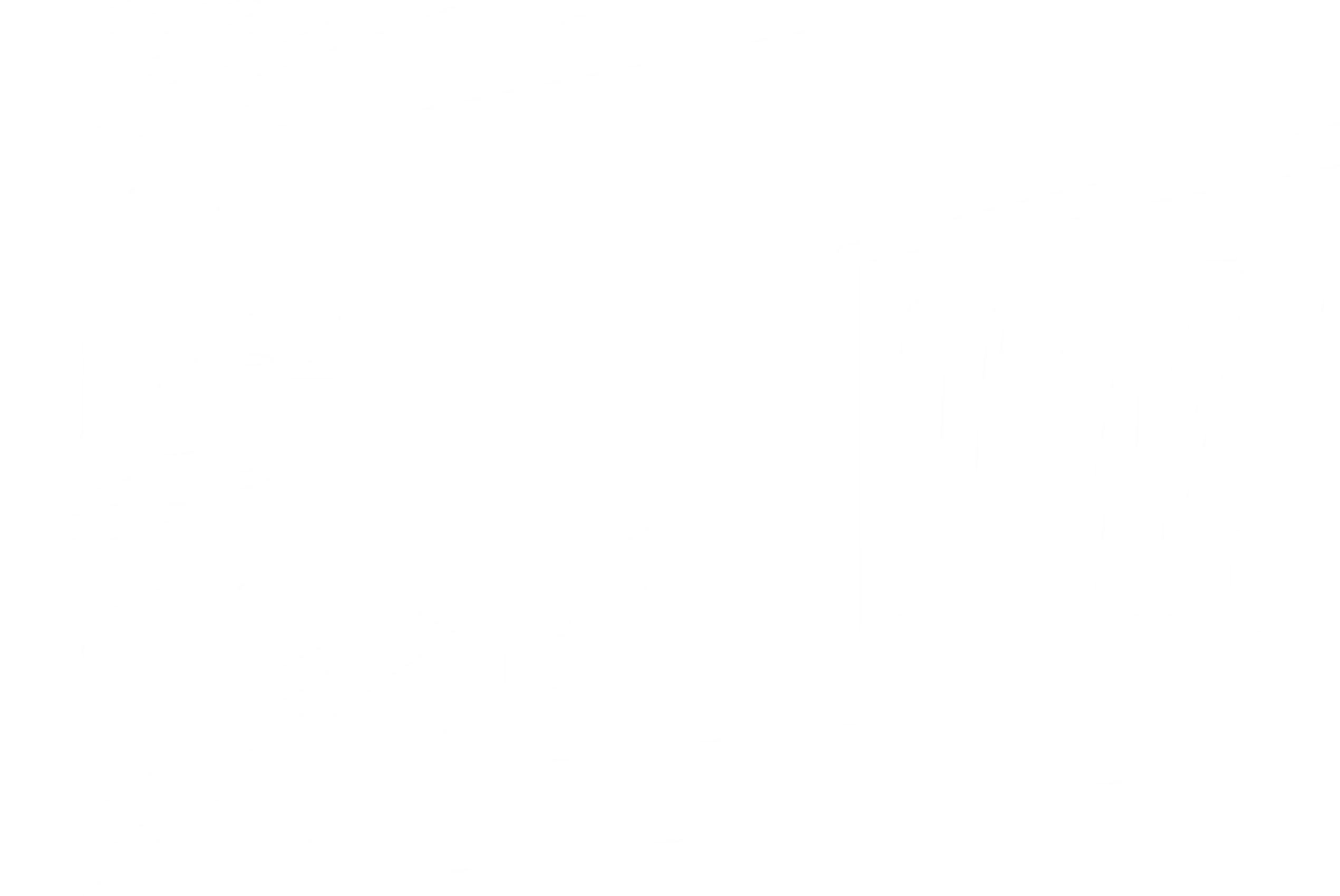 Scoutify hero background